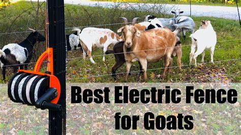 goat box for electric fence|temporary electric fencing for goats.